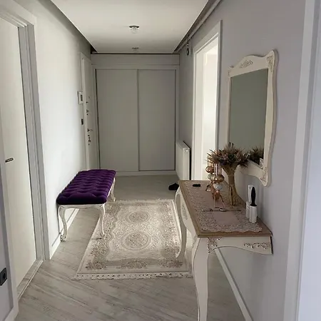 Apartment Glass House *